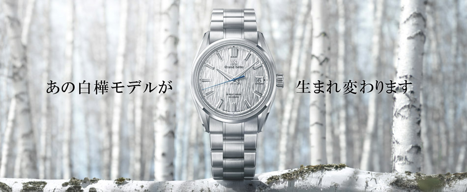 あの白樺モデルが生まれ変わります。
